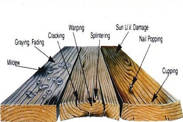 Image showing different types of wood damage.